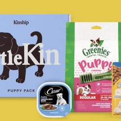 Little Kin Puppy or Kitten Kit